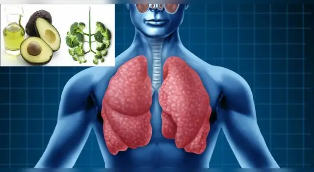 Cuida tus pulmones con una buena alimentación.