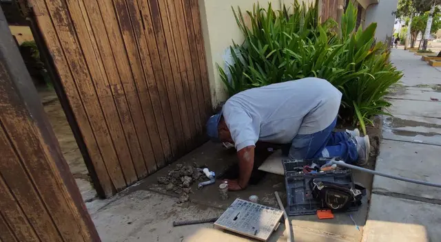 Este tipo de delitos pueden ser penados con cárcel efectiva.