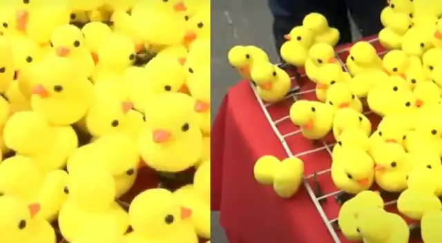 Estos patitos amarillos vienen arrasando en ventas en el Cercado de Lima.