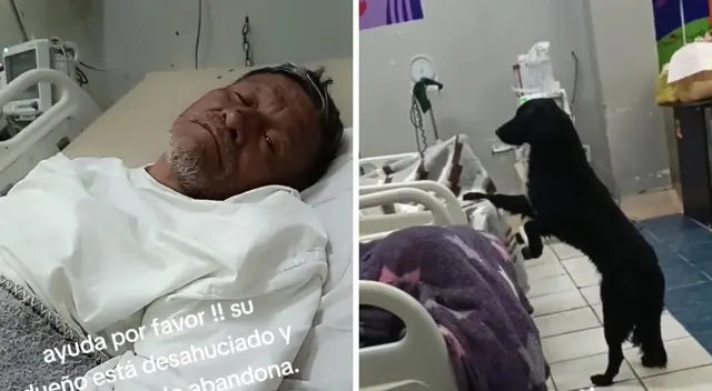 El hombre solicita un hogar para su perrito Firulais ante su estado actual de salud.