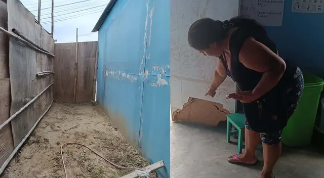 Los ladrones se llevaron material del mobiliario de este humilde colegio. Los ladrones se llevaron material del mobiliario de este humilde colegio.