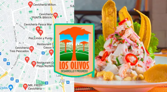 El mejor restaurante de Los Olivos para comer ceviche según Maps es...
