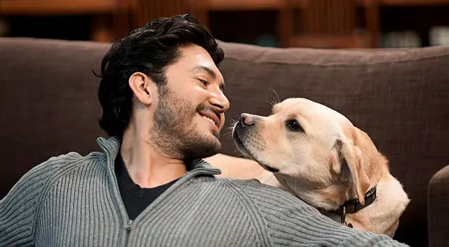 Cosas que los perros odian de los humanos.