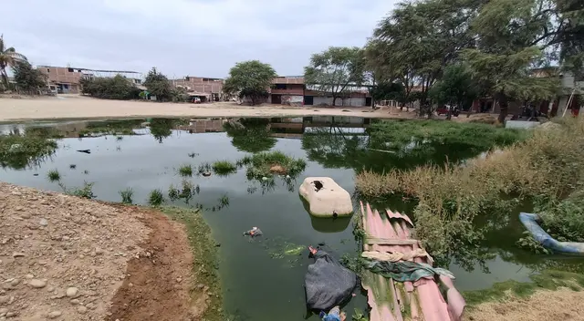 Son varios los asentamientos humanos afectados por esta problemática en Piura. Son varios los asentamientos humanos afectados por esta problemática en Piura.