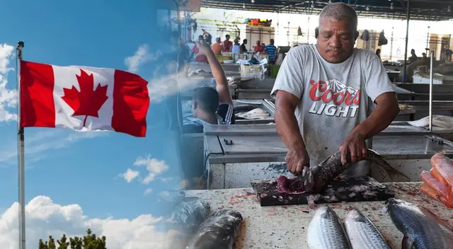 Conoce cuáles son los detalles del puesto laboral en Canadá.