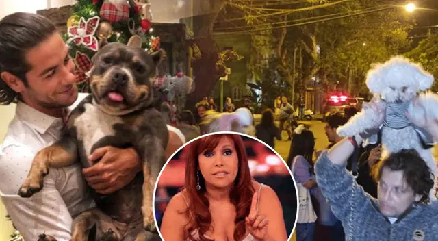 Magaly Medina chanca a protestantes que hicieron plantón en casa de mujer que agredió a Andrés Wiese.