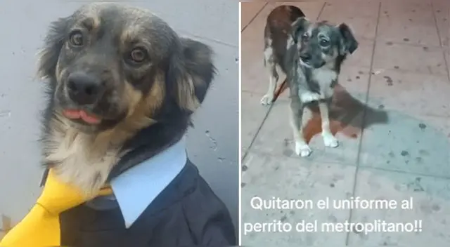 El video se ha vuelto tendencia en la app china.