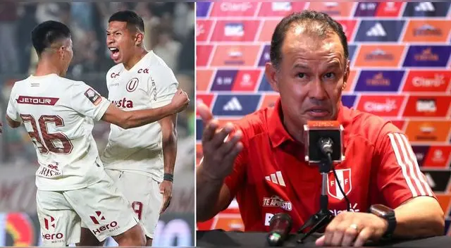 Conoce quiénes han sido convocados para la selección peruana.