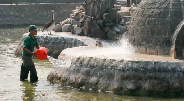 Parque de las Leyendas de Huachipa contará con más de 1.000 animales.