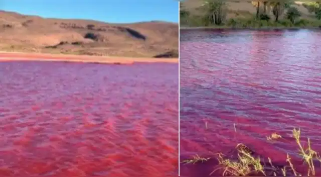¡Completamente rojo! Así amanecieron las aguas del río Nilo. ¡Completamente rojo! Así amanecieron las aguas del río Nilo.