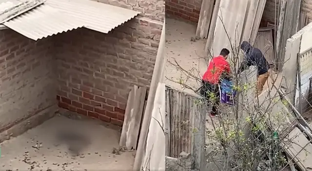 mascota muere tras ser abandonada sin comida ni agua en terreno