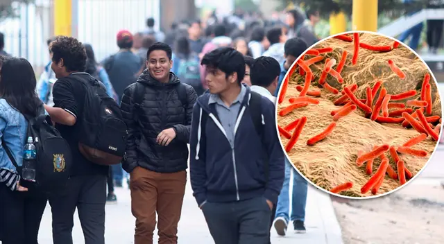 La FII de la Universidad Nacional Mayor de San Marcos tomó medidas ante el brote de tuberculosis.