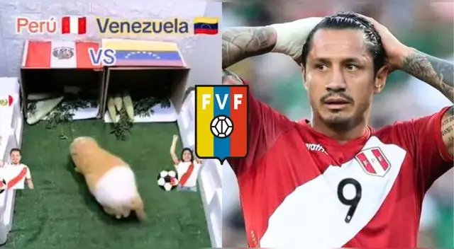 Cuy Kuri Kuri sorprende a hinchas con su pronóstico para el Perú vs. Venezuela por Eliminatorias 2026.