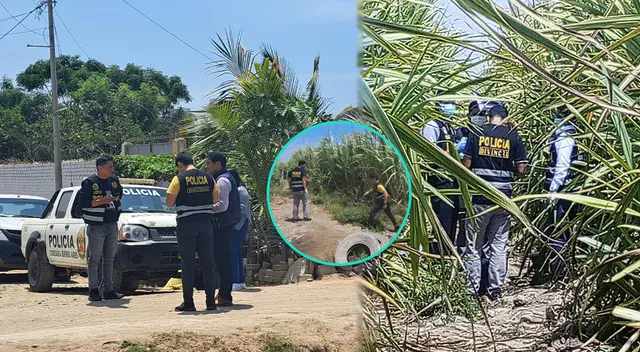 Cuerpo de hombre es encontrado sin signos vitales en cañaveral y vecinos llaman a la PNP de Trujillo. Cuerpo de hombre es encontrado sin signos vitales en cañaveral y vecinos llaman a la PNP de Trujillo.