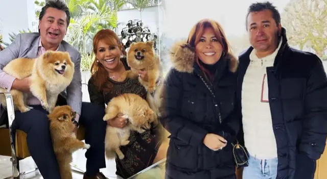 Magaly Medina y Alfredo Zambrano celebran 7 años de matrimonio con Alfredo Zambrano. Magaly Medina y Alfredo Zambrano celebran 7 años de matrimonio con Alfredo Zambrano.