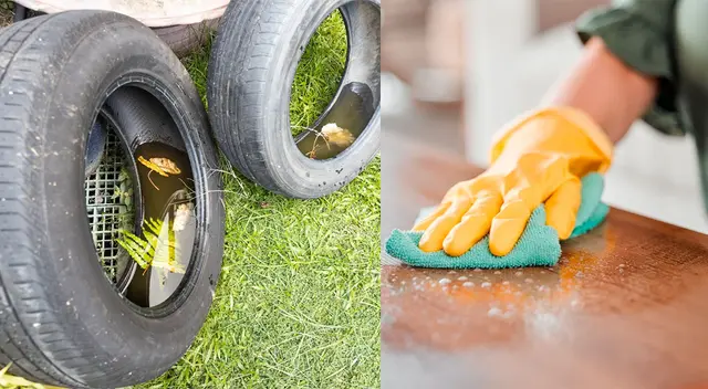 Mantener limpio y no dejar que el agua se estanque. Mantener limpio y no dejar que el agua se estanque.