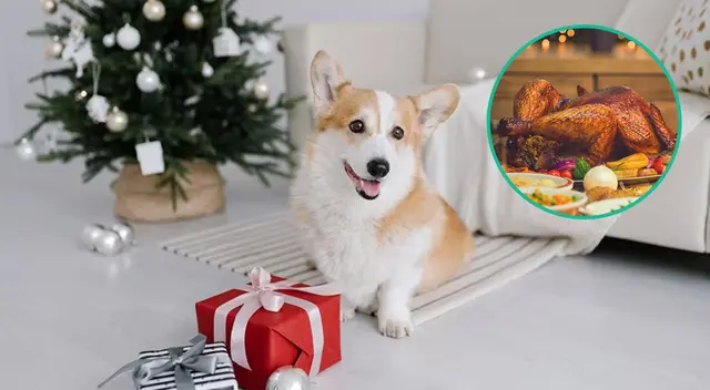 Algunos vegetales que se pueden ofrecer son zanahoria o camote.