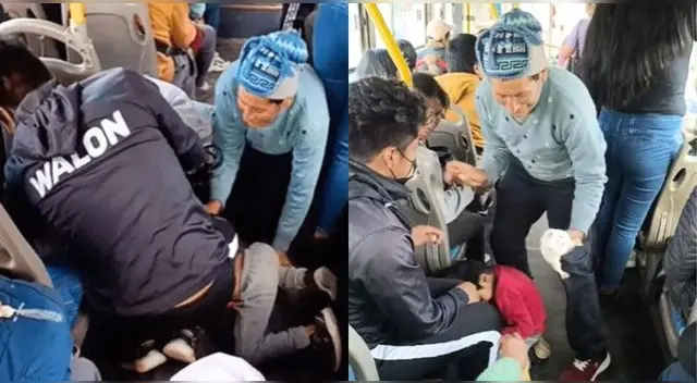 Cuyes se escapan dentro de un colectivo y pasajeros se unen para atraparlos.