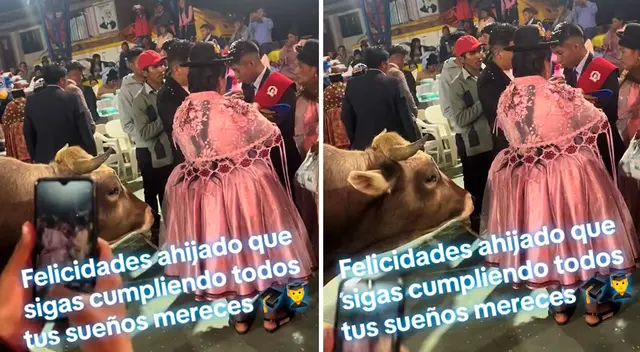 La madrina llegó a la fiesta de graduación con su toro de regalo.