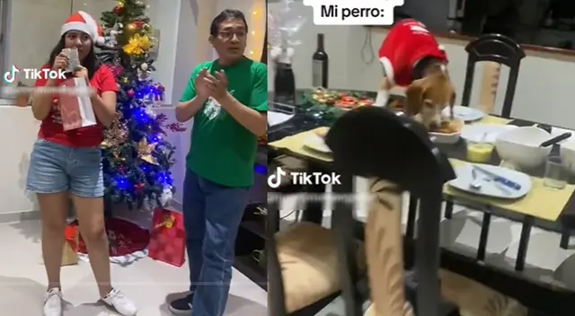Perro se hizo viral en las redes sociales al subirse a la mesa y comer la cena de Navidad de una familia.