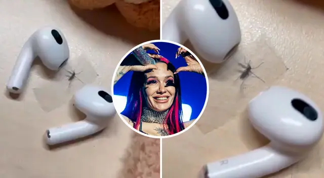 El joven atrapó el mosquito y lo pegó a una mesa con cinta adhesiva.