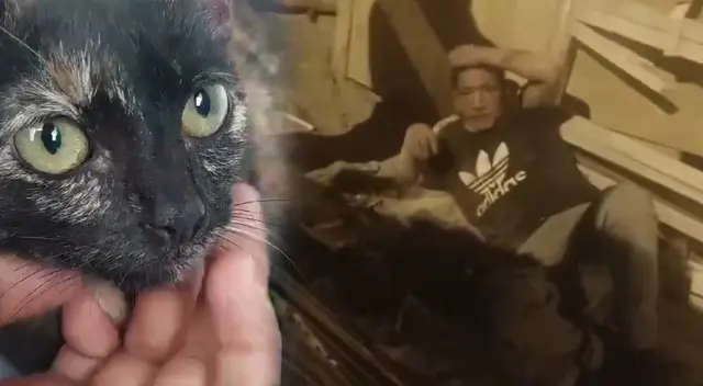 Pequeño gato es golpeado por su dueño en el Callao y no duda en grabarlo.