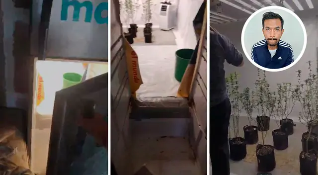 Sujeto convierte refrigerador a vivero de marihuana.