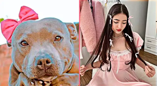 'Coquette', que se traduce como coqueta, representa una tendencia vinculada a la feminidad.