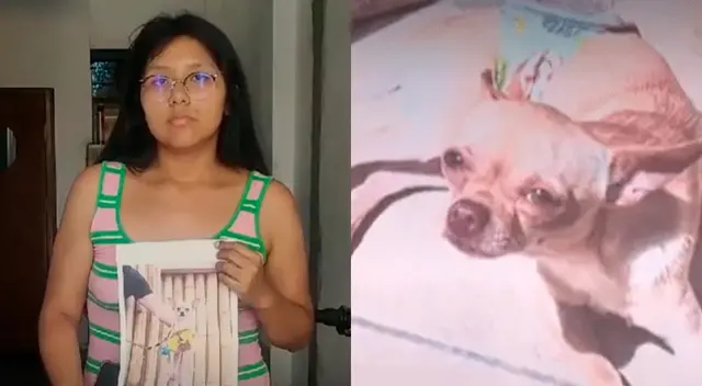 La familia pide que les devuelvan al perro, es lo más importante.