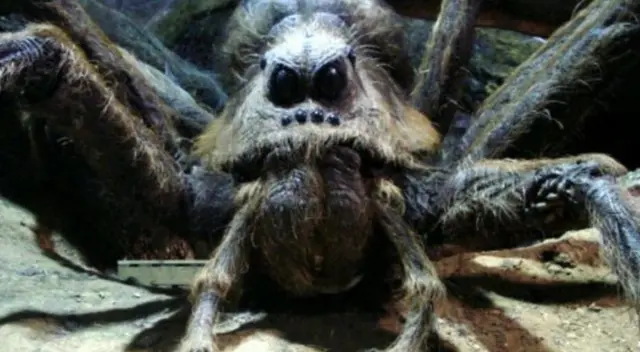 Soñar con arañas no siempre es de mal augurio. Descubre cómo estos sueños pueden ser señales de transformación y crecimiento personal.