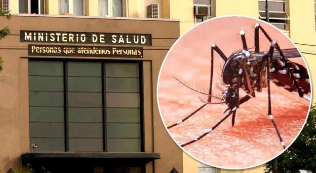 Minsa mira con preocupación casos elevados de dengue en el país. Minsa mira con preocupación casos elevados de dengue en el país.