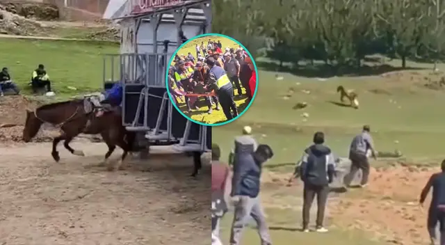 Menor de 8 años pierde la vida en competencia de caballos en Arequipa. Menor de 8 años pierde la vida en competencia de caballos en Arequipa.