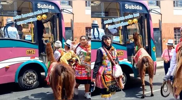 Señor sube a una combi con su llama en Cusco y en TikTok lo vacilan por peculiar acción.