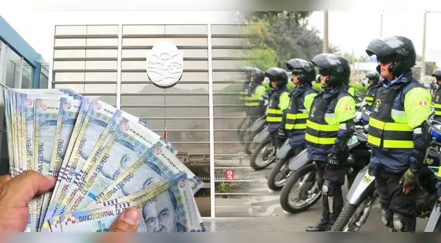 Conoce los puestos de trabajo que ofrece la Municipalidad La Molina. Conoce los puestos de trabajo que ofrece la Municipalidad La Molina.