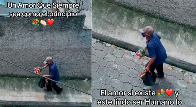 El adulto mayor regresó del mercado con un ramo de rosas en la mano. El adulto mayor regresó del mercado con un ramo de rosas en la mano.