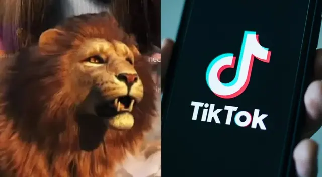 Uno de los regalos más solicitados por los usuarios de TikTok. Uno de los regalos más solicitados por los usuarios de TikTok.