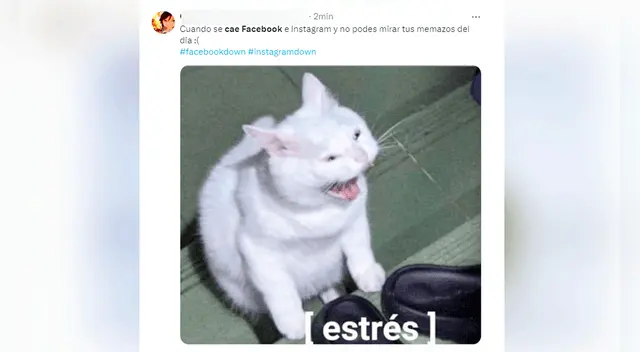 Usuarios no tardaron en crear sus divertidos memes ante la caída de Facebook e Instagram.