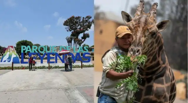 Las personas que cuenten con secundaria completa pueden postular a la convocatoria de trabajo 2024. Las personas que cuenten con secundaria completa pueden postular a la convocatoria de trabajo 2024.