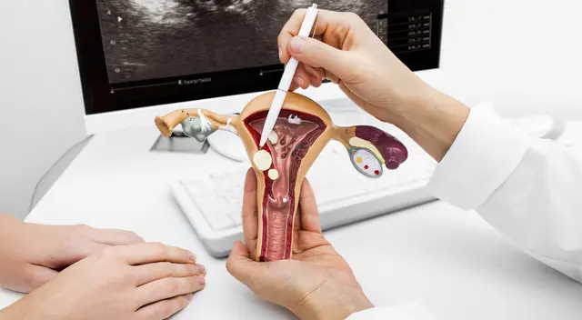 "Día Internacional de la Mujer" se celebra el 8 de mazo "Día Internacional de la Mujer" se celebra el 8 de mazo