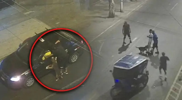 Delincuentes tenían al pitbull como su arma más letal. Delincuentes tenían al pitbull como su arma más letal.