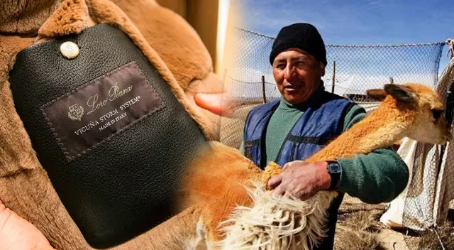 Empresa italiana cuenta con varios terrenos en Lucanas, Ayacucho.