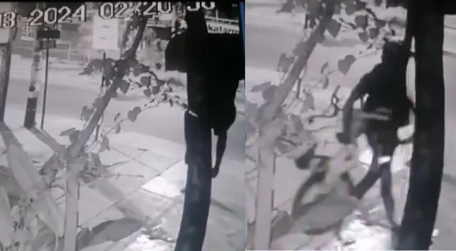 Los vecinos denunciaron indiferencia de la PNP. 'Tarzán' roba con total impunidad.