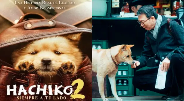 Hachiko 2 se estrenará a nivel mundial. Entérate cuándo será. Hachiko 2 se estrenará a nivel mundial. Entérate cuándo será.