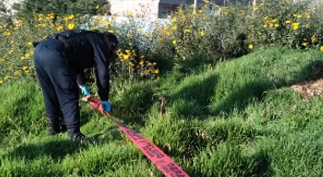 Personal de Seguridad de Puno llegó tras el aviso de un vecino.