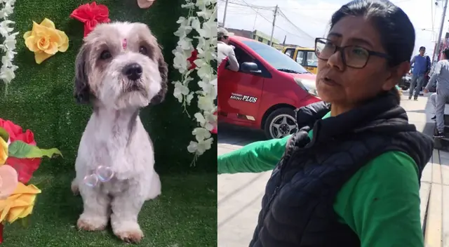 Dueña de perro asesinado pide justicia y acción de la Policía. Dueña de perro asesinado pide justicia y acción de la Policía.