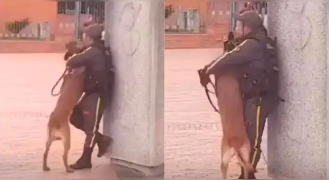 Guardia de seguridad y perrito protagonizan tierna escena que es viral en TikTok.