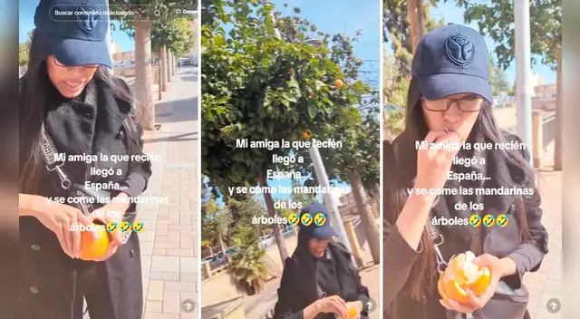 Latina come mandarinas en España y se lleva una amarga experiencia que deja en shock a miles Latina come mandarinas en España y se lleva una amarga experiencia que deja en shock a miles