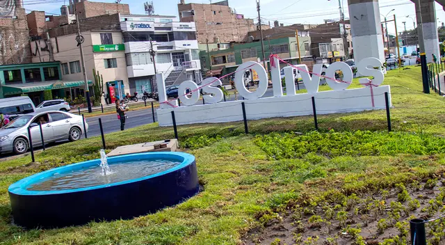 Siembran grass en la avenida Angélica Gamarra.