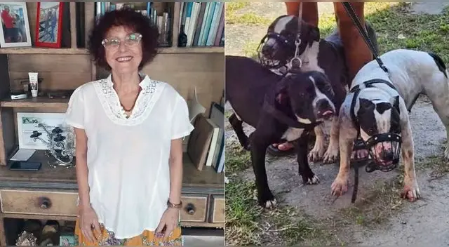 Mujer de 73 años es atacada por al menos tres perros pitbull durante su paseo matutino en Brasil.