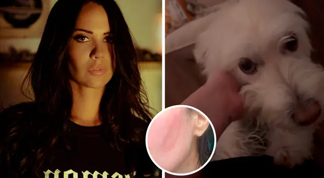 Lucia Oxenford denuncia AGRESIÓN física al defender a perrito herido: "Tumefacción y rotura"